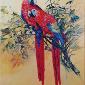 Les perroquets  - Huile sur toile - H. 65 cm x L. 50 cm - (Plus disponible)